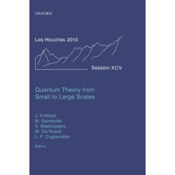 Quantum Theory from Small to Large Scales: Lecture Notes of the Les Houches Summer School: Volume 95, August 2010