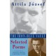The Iron-Blue Vault: Selected Poems