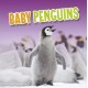 Baby Penguins