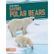 Saving Polar Bears