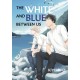 The White and Blue Between Us