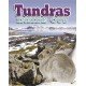 Tundras