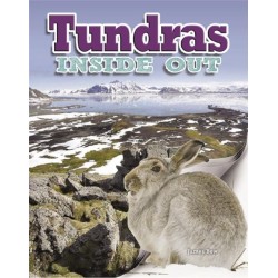 Tundras