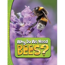 Why Do We Need Bees?