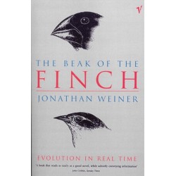 The Beak Of The Finch