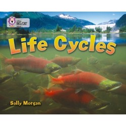Life Cycles: Band 16/Sapphire