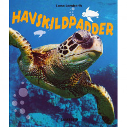 Havskildpadder