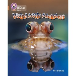 Weird Little Monsters: Band 12/Copper