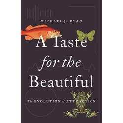 A Taste for the Beautiful: The Evolution of Attraction