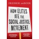 How Elites Ate the Social Justice Movement