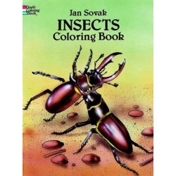 Insects Coloring Book