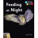 Feeding at Night: Phonics Phase 3