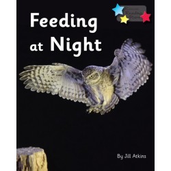 Feeding at Night: Phonics Phase 3