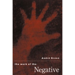 The Work of the Negative
