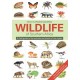 The Wildlife of Southern Africa: A field guide to the animals and plants of the region