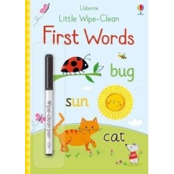 Little Wipe-Clean First Words