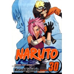 Naruto, Vol. 30: Puppet Masters