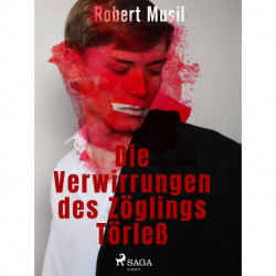 Die Verwirrungen des Zöglings Törleß