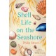 Shell Life on the Seashore