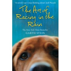 The Art of Racing in the Rain