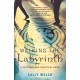 Walking the Labyrinth: A Spiritual and Practical Guide
