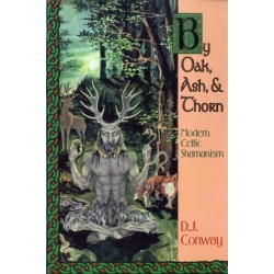 By Oak, Ash, & Thorn: Modern Celtic Shamanism