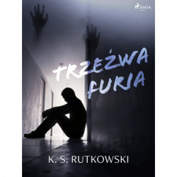 Trzeźwa furia