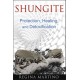 Shungite: Protection, Healing, and Detoxification