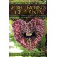 The Secret Teachings of Plants: The Intelligence of the Heart in the Direct Perception of Nature