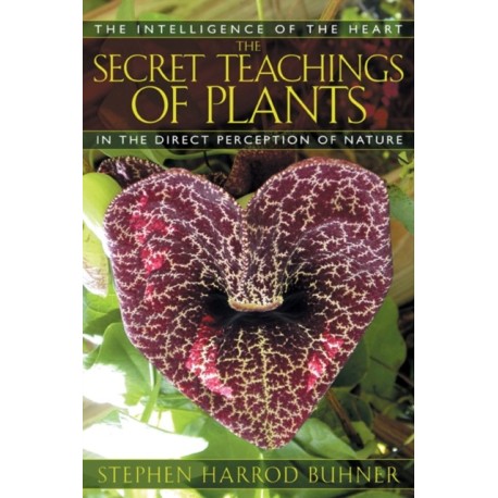 The Secret Teachings of Plants: The Intelligence of the Heart in the Direct Perception of Nature