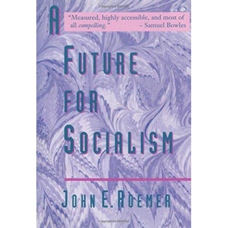 A Future for Socialism