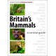 Britain's Mammals: A Concise Guide