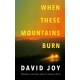 When These Mountains Burn: The literary crime thriller from the prizewinning master of American noir fiction