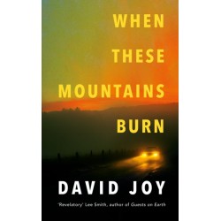 When These Mountains Burn: The literary crime thriller from the prizewinning master of American noir fiction