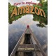 How to Explore the Amazon