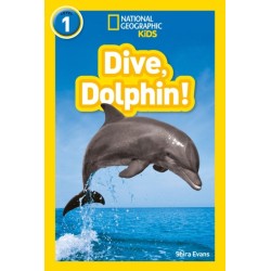 Dive, Dolphin!: Level 1