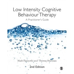 Low Intensity Cognitive Behaviour Therapy: A Practitioner's Guide
