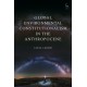 Global Environmental Constitutionalism in the Anthropocene
