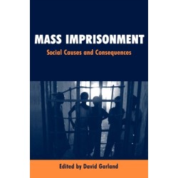 Mass Imprisonment: Social Causes and Consequences