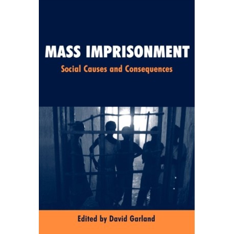Mass Imprisonment: Social Causes and Consequences