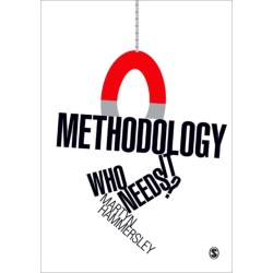 Methodology: Who Needs It?