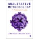 Qualitative Methodology: A Practical Guide