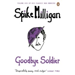 Goodbye Soldier