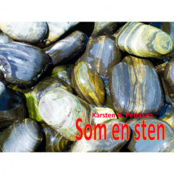 Som en sten: Samtale om livet