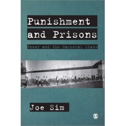 Punishment and Prisons: Power and the Carceral State