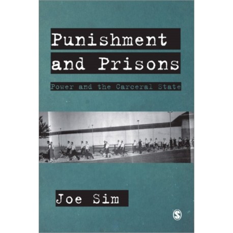 Punishment and Prisons: Power and the Carceral State