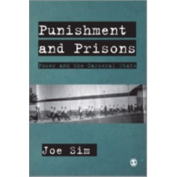 Punishment and Prisons: Power and the Carceral State