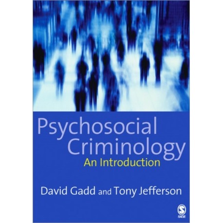 Psychosocial Criminology