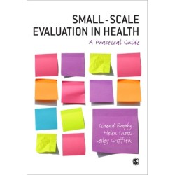 Small-Scale Evaluation in Health: A Practical Guide