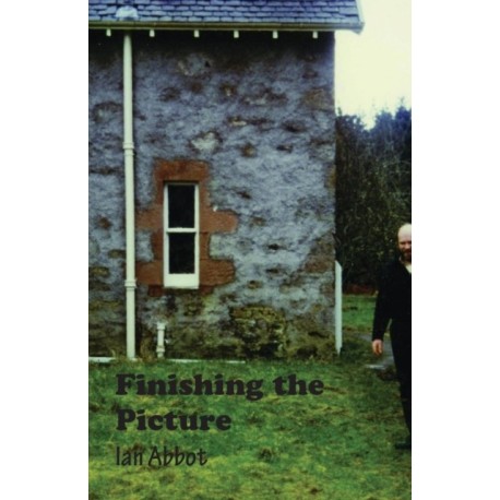 Finishing the Picture: Collected Poems